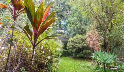 Casa com 3 quartos à venda em Sumaré - SP