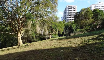 Terreno Residencial à venda, Itacorubi, Florianópolis - TE0029.