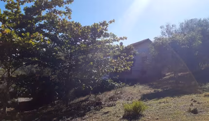 Terrenos Residenciais em Ribeirão da Ilha