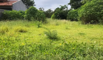 Terreno Comercial/Residencial em Campeche