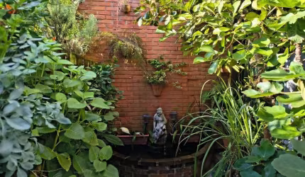 Apê aconchegante 1D, estilo Estúdio, com horta vertical e fonte d'água em Coqueiros, Florianópolis