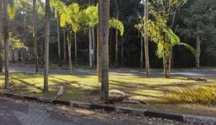 Terreno à venda | 450m² | Tucuruvi - São Paulo/SP