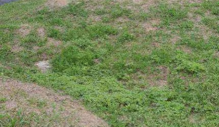 Terreno a venda | 300m² | Horto Florestal - São Paulo, SP.