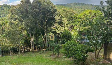 Terreno Serra da Cantareira / 1090 metros / Condominio  Suiça da Cantareira