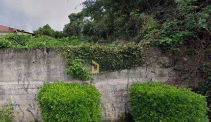 Terreno à venda, 2000 m² por R$ 3.500.000,00 - Vila Irmãos Arnoni - São Paulo/SP