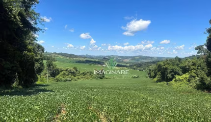Chácara à venda, 20000 m² por R$ 410.000,00 - Rio Do Salto - Cascavel/PR