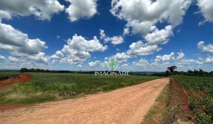 Chácara à venda, 30000 m² por R$ 750.000,00 - Rio Do Salto - Cascavel/PR