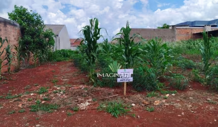 Terreno à venda, 300 m² por R$ 88.000 - Santa Fé - Santa Tereza do Oeste/PR
