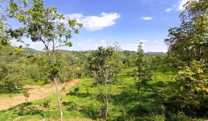 Terreno 2.7 Ha à Venda no Bom Jardim, em Azurita | JUATUBA IMÓVEIS |