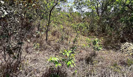 Lote de 360 m a venda no bairro Parque da serra azul | juatuba imóveis |