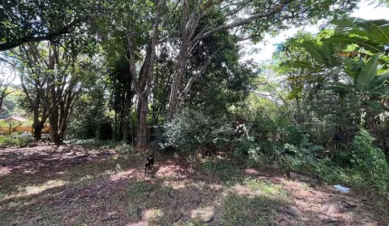 Lote | Terreno com 360 m² no bairro Canaã em Juatuba |