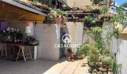 Terreno à venda, 400 m² por R$ 998.000,00 - Santa Efigênia - Belo Horizonte/MG