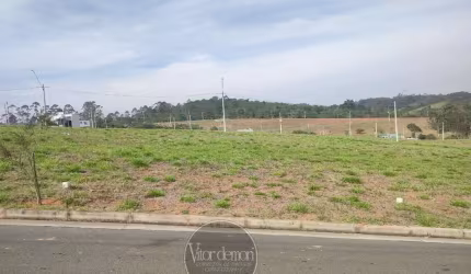 Terreno plano no condominio Paradise Gardens