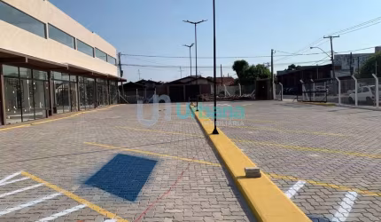 Conjunto / Sala em Parque Santa Felicia Jardim  -  São Carlos