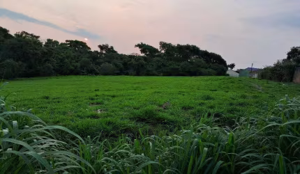 área no jardim Celani