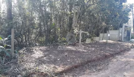 Terreno à venda, 450 m² por R$ 80.000,00 - Santa Luzia - Ribeirão Pires/SP