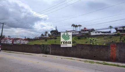 Terreno, 4638 m² - venda por R$ 6.350.000,00 ou aluguel por R$ 41.709,38/mês - Vicente Pinzon - Fortaleza/CE