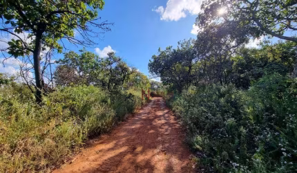 Terreno à venda 2500 m²- Bairro  Santa Cruz - Mateus Leme/MG.