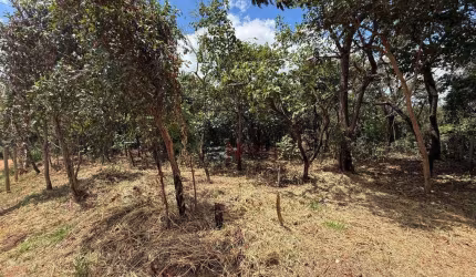 Terreno à venda, 1000 m² por R$ 120.000 - Santa Cruz - Mateus Leme/MG