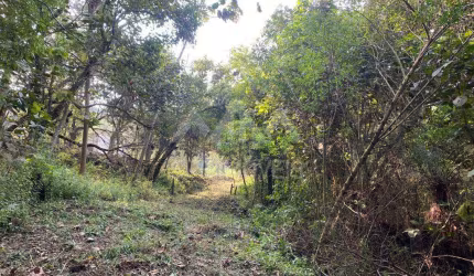 TERRENO À VENDA, 96800M², CANTAREIRA SP