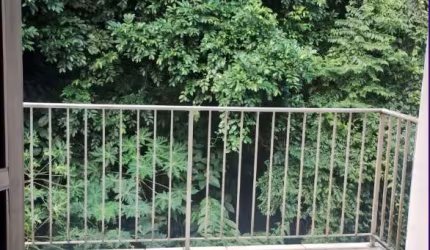 Apartamento para Venda em Mangaratiba, Vila Muriqui, 2 dormitórios, 2 banheiros, 1 vaga