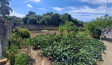 Terreno à venda Alto Tarumã Pinhais/PR