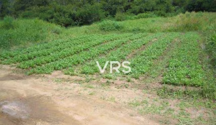 Fazenda à venda, 476.155 m² por R$ 1.500.000 - Sebastiana - Teresópolis/RJ