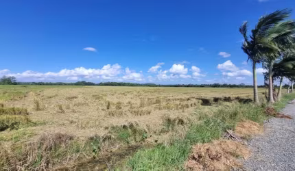 Terreno para alugar, 10000.00 m2 por R$22000.00  - Morro Do Meio - Joinville/SC