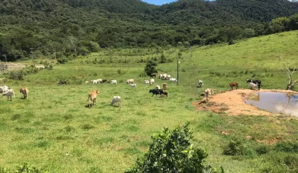 Terreno para Locação em Atibaia, Parque Rio abaixo