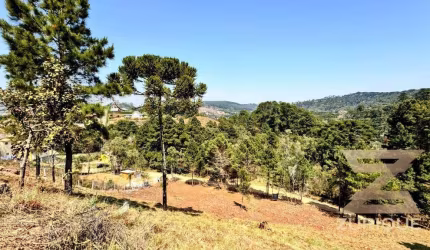 Terreno à venda, 1172 m² por R$ 270.000,00 - Vale Encantado - Campos do Jordão/SP