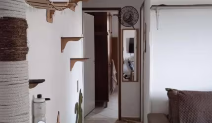 Apartamento para Venda em São Vicente, Parque São Vicente, 2 dormitórios, 1 banheiro, 1 vaga
