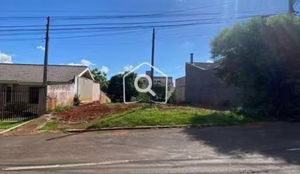 Terreno 420m² no Trianon/Sta Cruz em Guarapuava