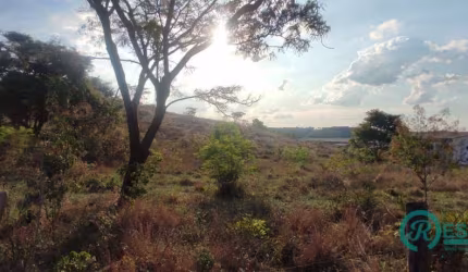 Terreno à venda, 5000 m² por R$ 1.450.000,00 - Angicos - Vespasiano/MG