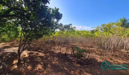 Terreno à venda, 1017 m² por R$ 699.000,00 - Jardim Ipê - Lagoa Santa/MG