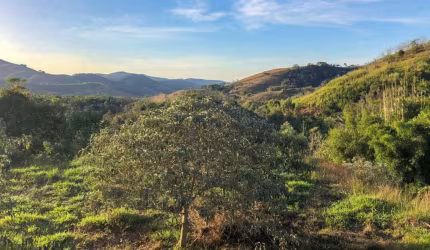 Lote em condomínio em Itaipava, Petrópolis.