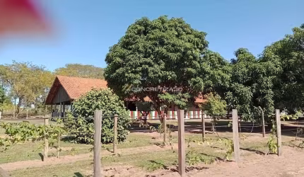 Chácara à venda em Tambaú, Estrada Municipal de Tambaú, com 3 quartos, com 8440 m²