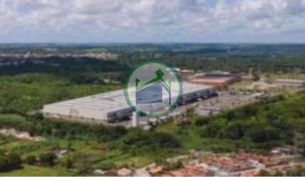 Galpões novos para Alugar de 1.229m² a 19.664m²