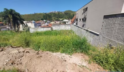 TERRENO - SÃO DOMINGOS - MG