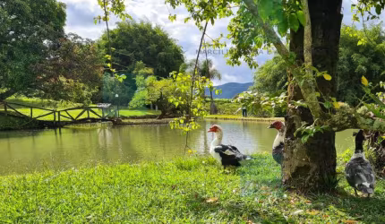 Fazenda com 3 salas à venda na Fazenda Vovó, Santo Antônio do Salto, Ouro Preto, 832000 m2 por R$ 2.100.000