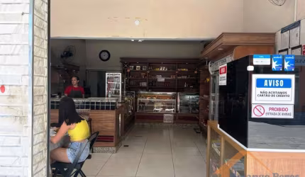 Passo padaria montada na Estufa 2