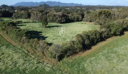 Área  a venda em Piraquara-PR