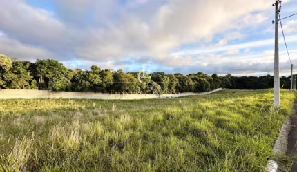 Terrenos à Venda no Loteamento Campo Belo - Campo Largo-PR