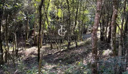 Tereno  a venda em Piraquara-PR