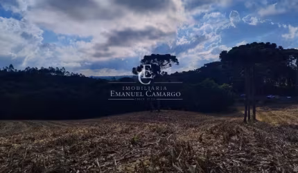 Chácara  a venda em Quatro Barras