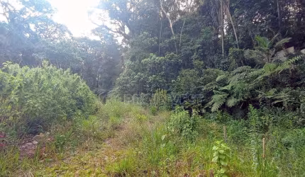 Terreno à venda, 872 m² por R$ 290.000,00 - Granja Viana II - Cotia/SP