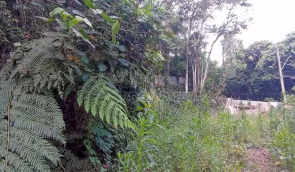 Terreno à venda, 580 m² por R$ 190.000,00 - Granja Viana II - Cotia/SP