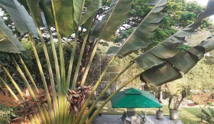 Casa com 4 dormitórios à venda, 623 m² por R$ 3.200.000,00 - Altos de São Fernando - Jandira/SP