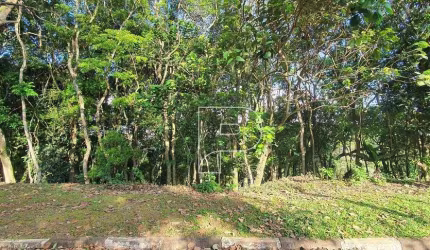 Terreno à venda, 1968 m² por R$ 790.000,00 - Parque Dom Henrique - Cotia/SP
