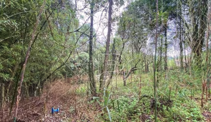 Terreno à venda, 3146 m² por R$ 690.000,00 - Jardim Rosa Azul (Caucaia do Alto) - Cotia/SP