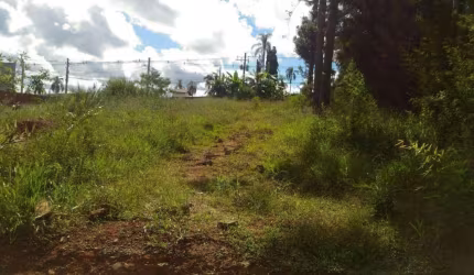 Terreno à venda, 1015 m² por R$ 380.000,00 - Chácara Represinha - Cotia/SP